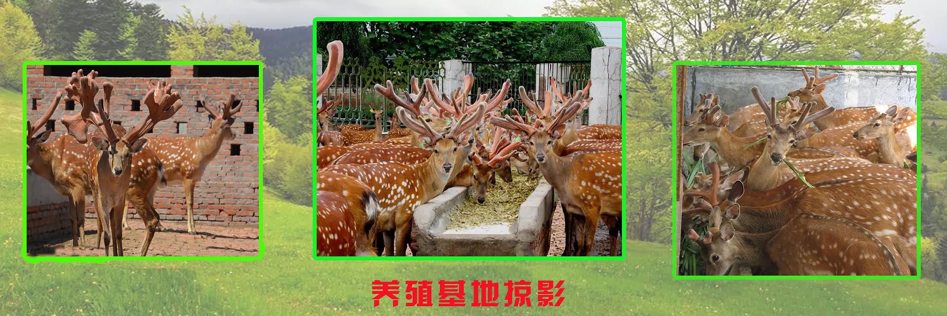 1653720851164941.jpg 1653720851164941.jpg